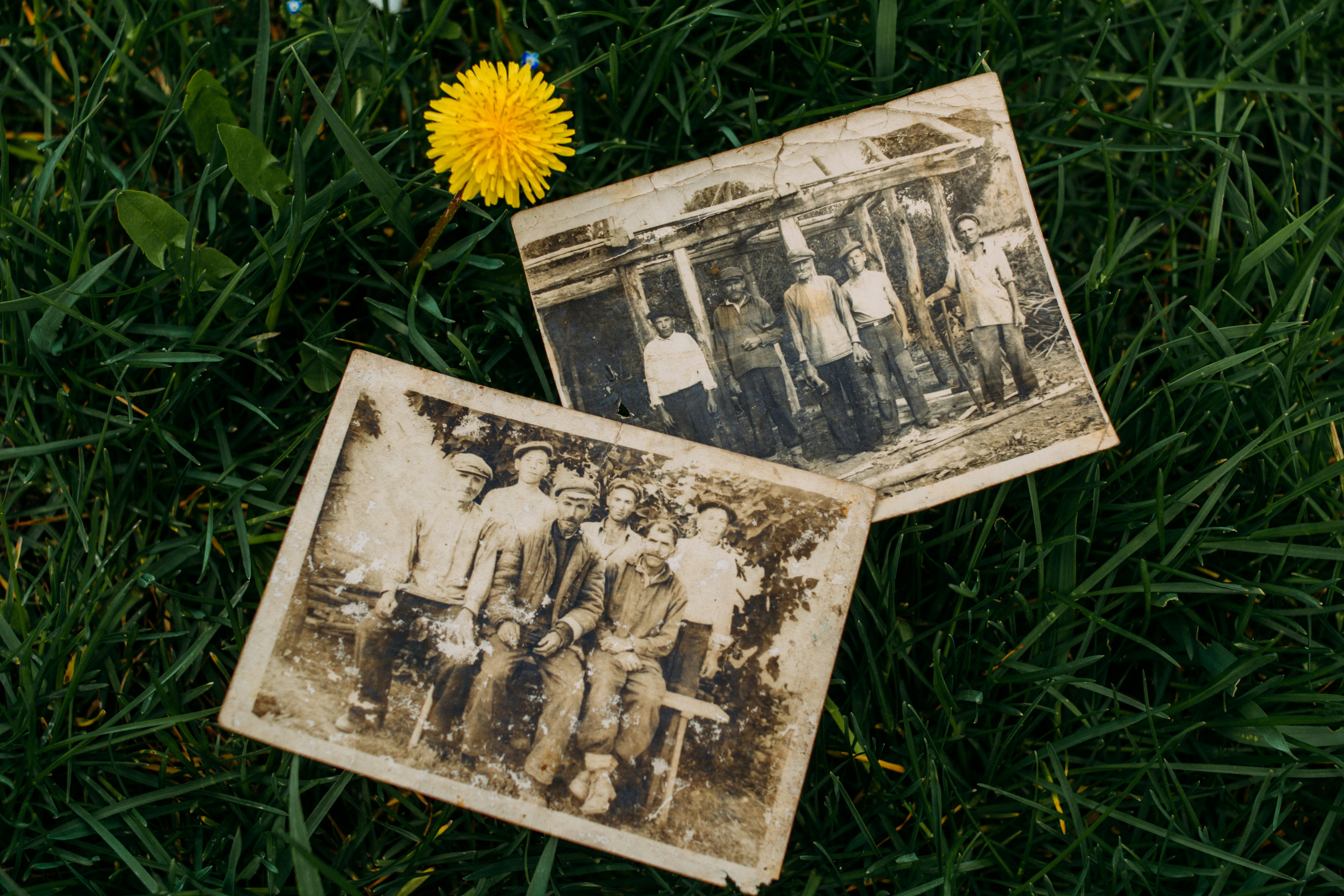 Before and after example of professional Photo Restoration Service