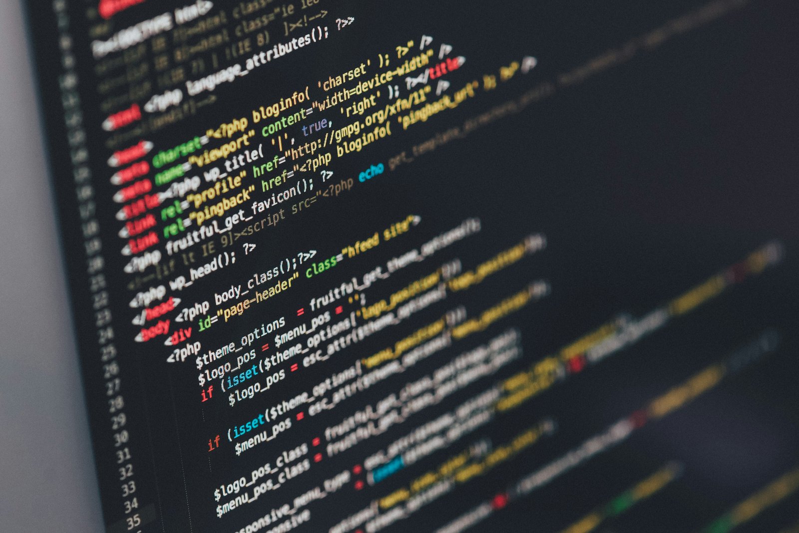 A web designer's screen glowing with code deep in the Florida night