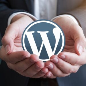 WordPress Management and Care Services